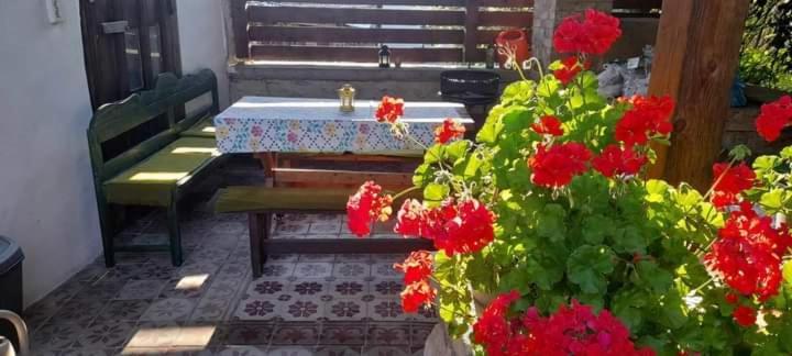 Holiday home Nevenincs Vendeghaz