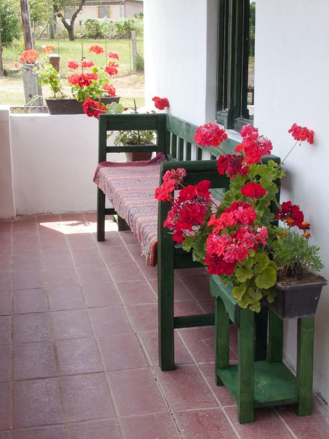 Holiday home Nevenincs Vendeghaz
